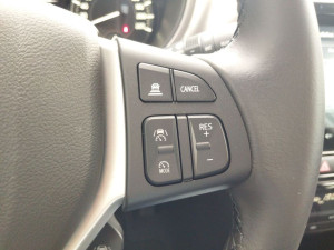 Miniaturka zdjęcia