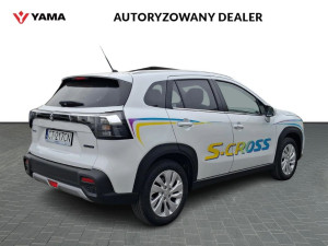 Miniaturka zdjęcia