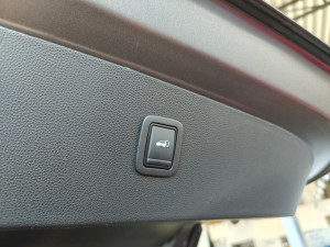 Miniaturka zdjęcia
