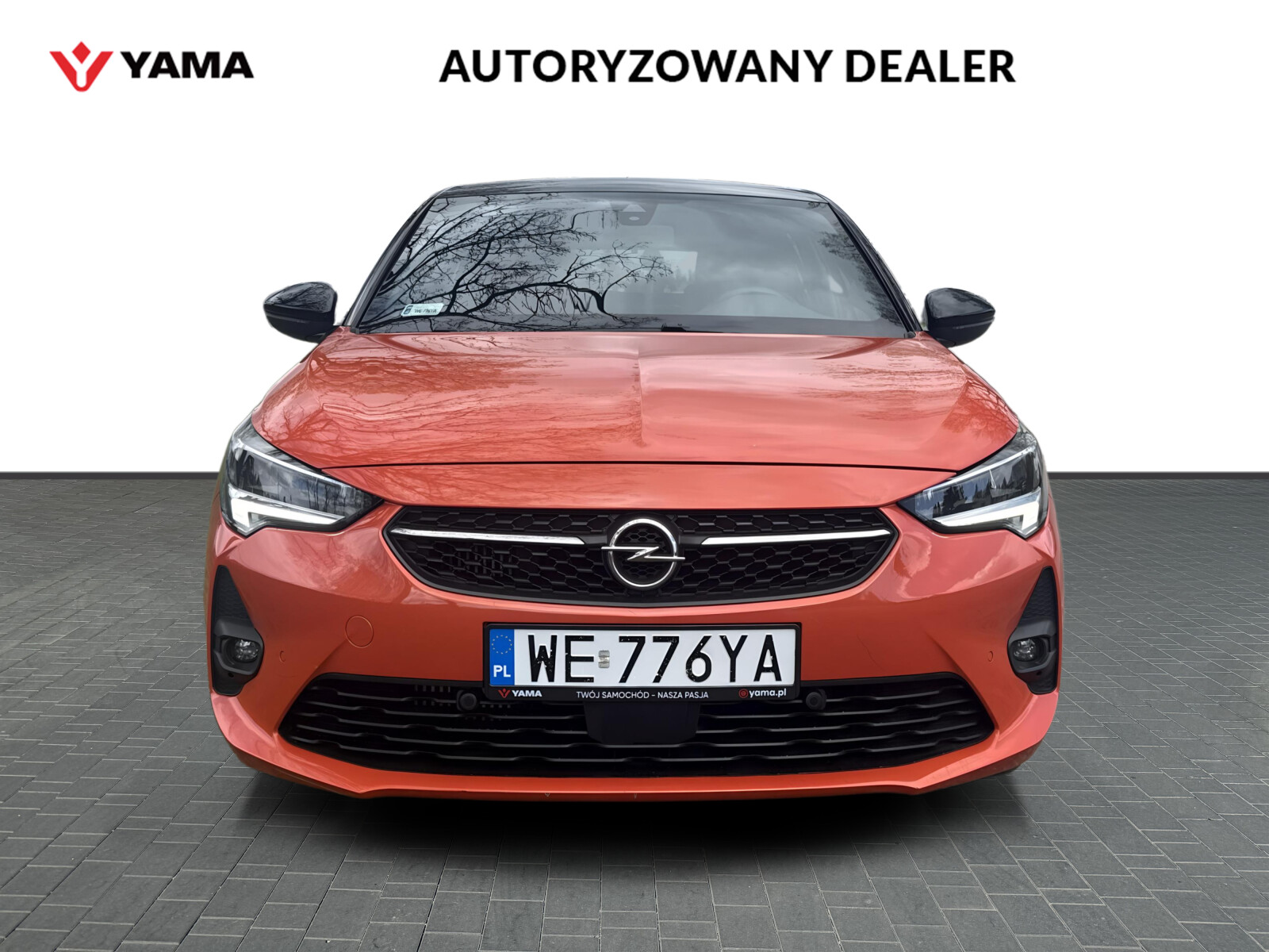 Główne zdjęcie